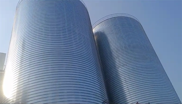 泰顺2座混凝土高架卷板仓